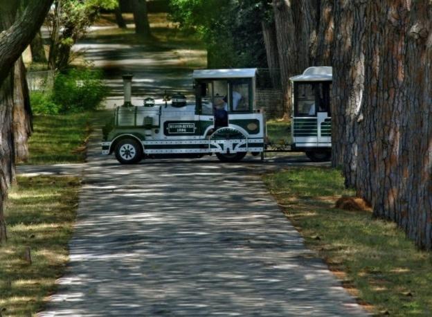 Be Free-central-free Parking-garden-bbq Apartmán