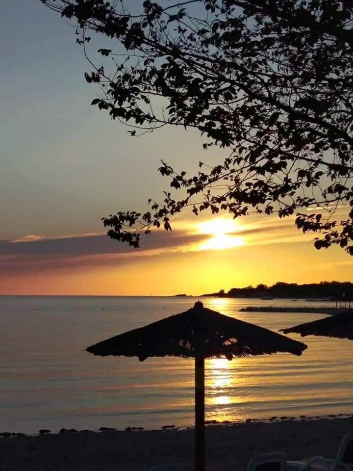 Apartmán Be Free-central-free Parking-garden-bbq Pula