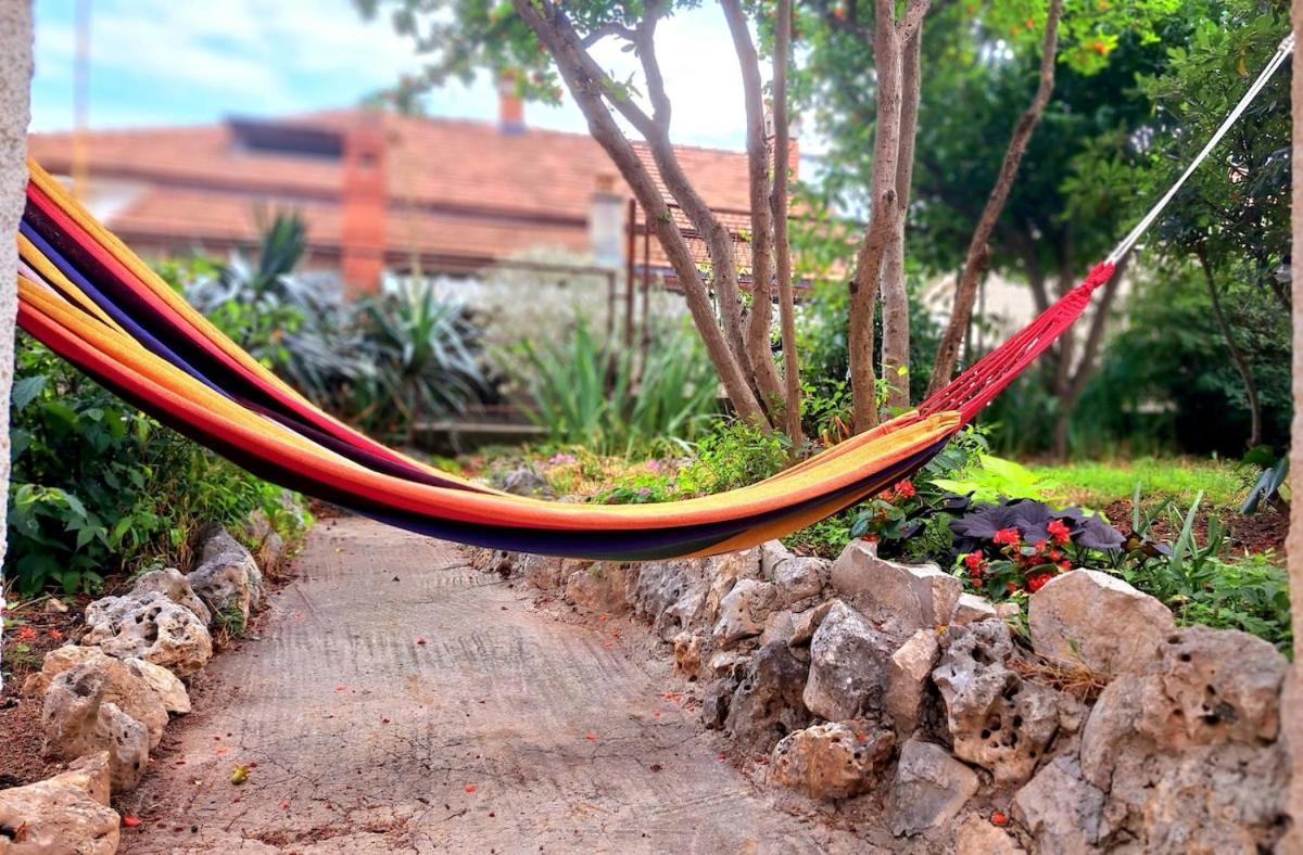 Be Free-central-free Parking-garden-bbq Apartmán *